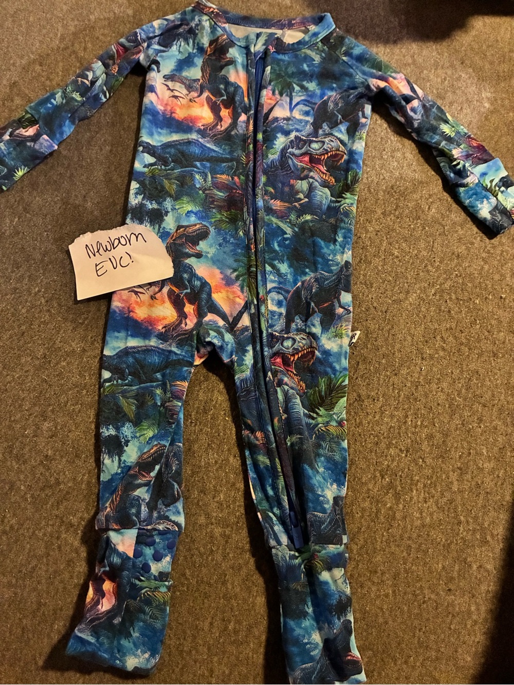 Blue Dino Print Kids One-Piece Zipper Pajamas Bums & Roses Newborn Bamboo